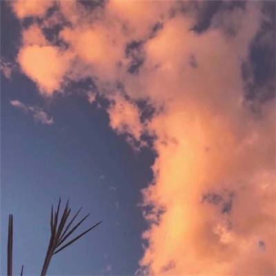 疾风大冒险手游腾讯版下载