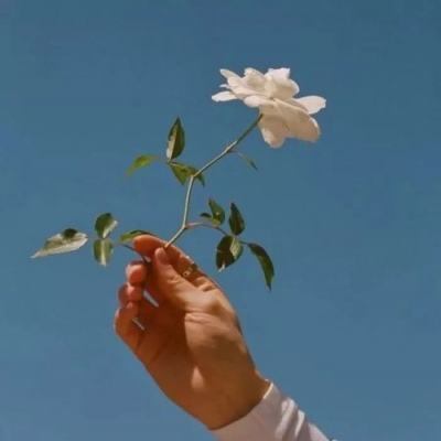 血杀英雄游戏(暂未上线)v1.0.1 安卓版