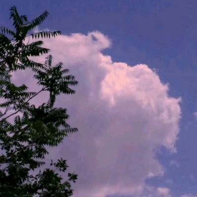 超次元幻想bt版apk下载